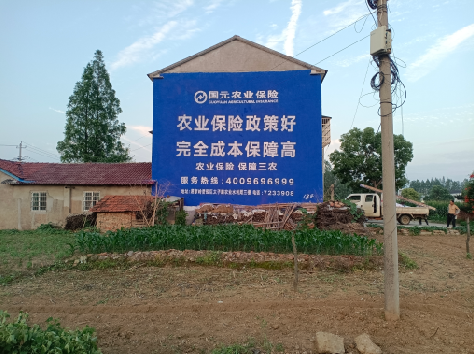 平江墙体广告为何受追捧？